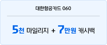 대한항공카드 060