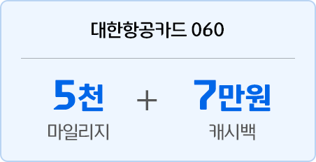 대한항공카드 060