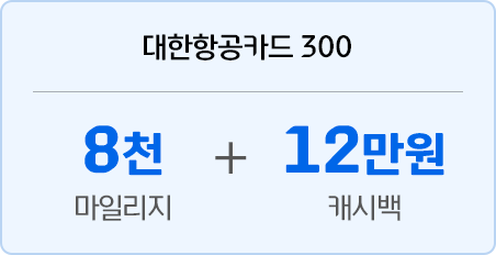 대한항공카드 300